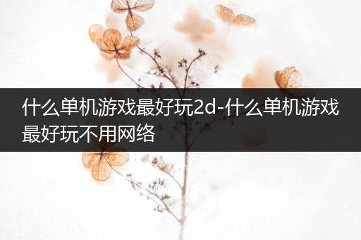 什么单机游戏最好玩2d-什么单机游戏最好玩不用网络