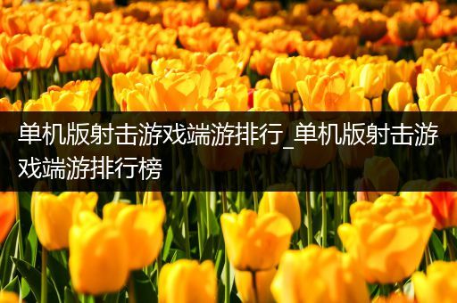 单机版射击游戏端游排行_单机版射击游戏端游排行榜