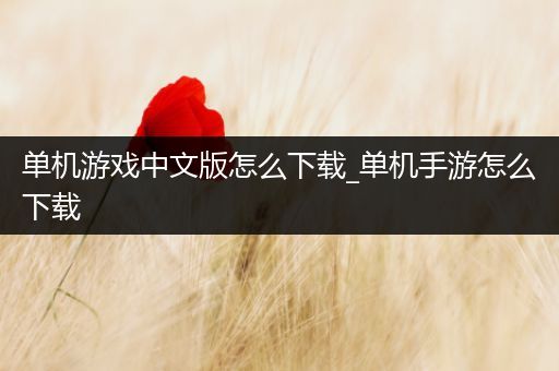 单机游戏中文版怎么下载_单机手游怎么下载
