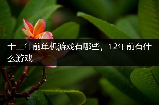 十二年前单机游戏有哪些，12年前有什么游戏