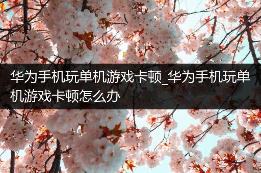 华为手机玩单机游戏卡顿_华为手机玩单机游戏卡顿怎么办