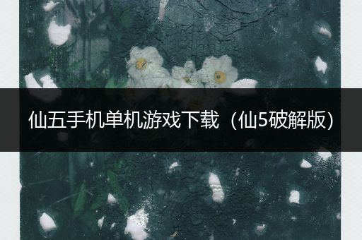 仙五手机单机游戏下载（仙5破解版）