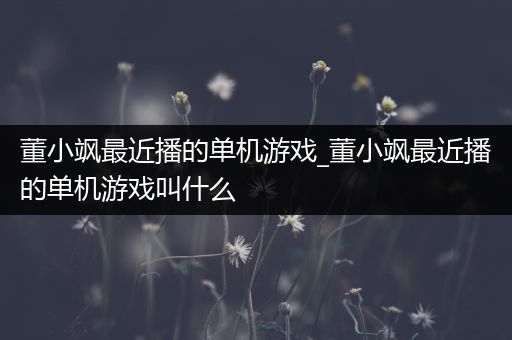 董小飒最近播的单机游戏_董小飒最近播的单机游戏叫什么