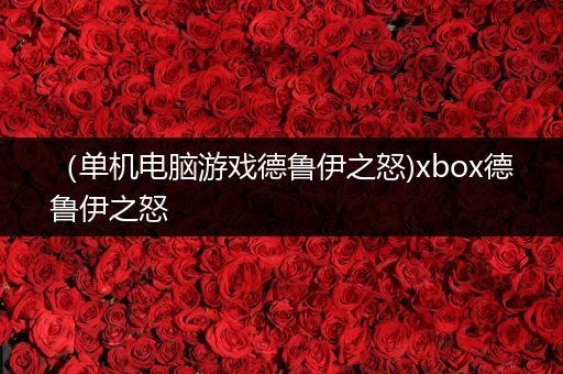 （单机电脑游戏德鲁伊之怒)xbox德鲁伊之怒