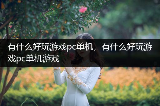 有什么好玩游戏pc单机，有什么好玩游戏pc单机游戏