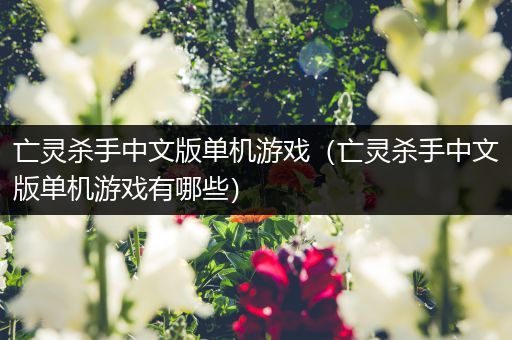 亡灵杀手中文版单机游戏（亡灵杀手中文版单机游戏有哪些）