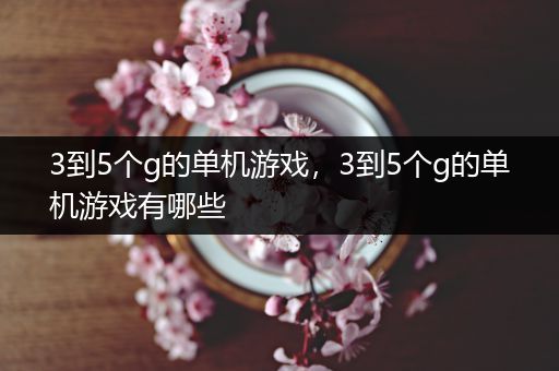 3到5个g的单机游戏，3到5个g的单机游戏有哪些