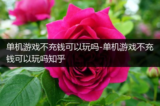 单机游戏不充钱可以玩吗-单机游戏不充钱可以玩吗知乎
