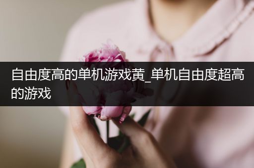 自由度高的单机游戏黄_单机自由度超高的游戏