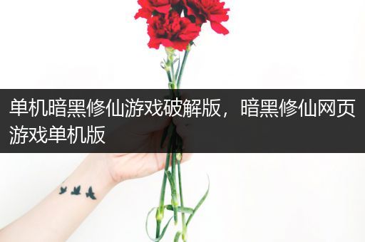 单机暗黑修仙游戏破解版，暗黑修仙网页游戏单机版