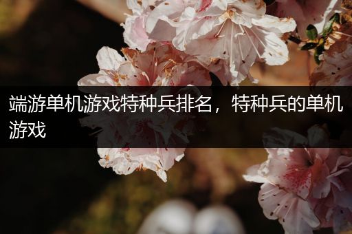 端游单机游戏特种兵排名，特种兵的单机游戏