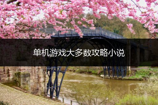 单机游戏大多数攻略小说