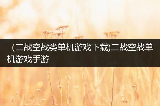 （二战空战类单机游戏下载)二战空战单机游戏手游