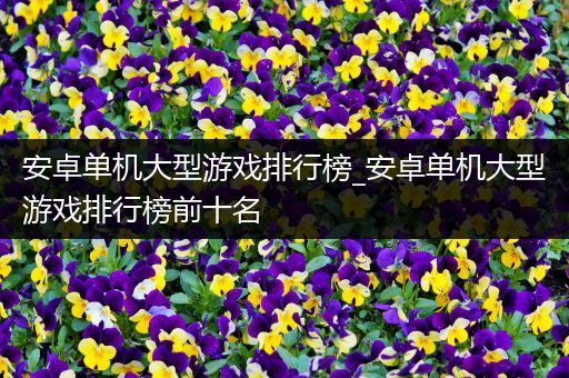 安卓单机大型游戏排行榜_安卓单机大型游戏排行榜前十名