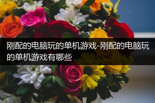 刚配的电脑玩的单机游戏-刚配的电脑玩的单机游戏有哪些