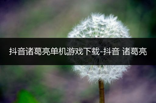 抖音诸葛亮单机游戏下载-抖音 诸葛亮