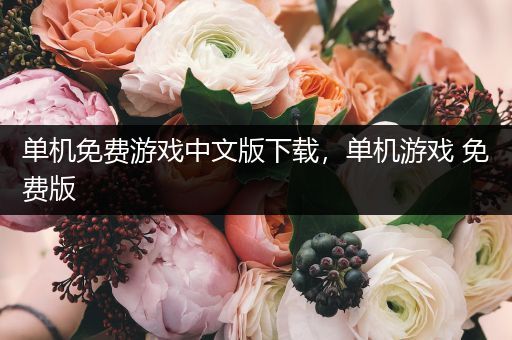 单机免费游戏中文版下载，单机游戏 免费版