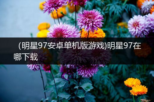 （明星97安卓单机版游戏)明星97在哪下载