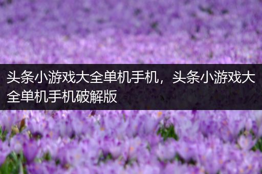 头条小游戏大全单机手机，头条小游戏大全单机手机破解版