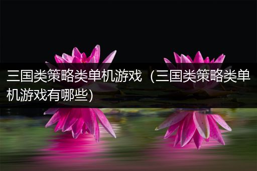 三国类策略类单机游戏（三国类策略类单机游戏有哪些）