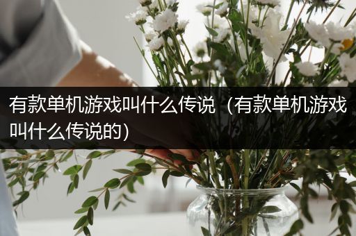 有款单机游戏叫什么传说（有款单机游戏叫什么传说的）