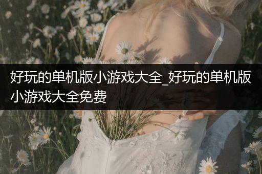 好玩的单机版小游戏大全_好玩的单机版小游戏大全免费
