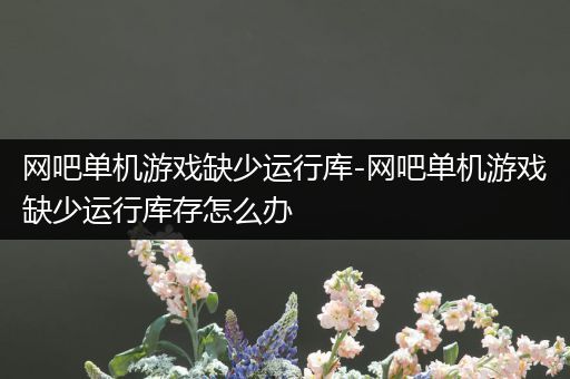 网吧单机游戏缺少运行库-网吧单机游戏缺少运行库存怎么办