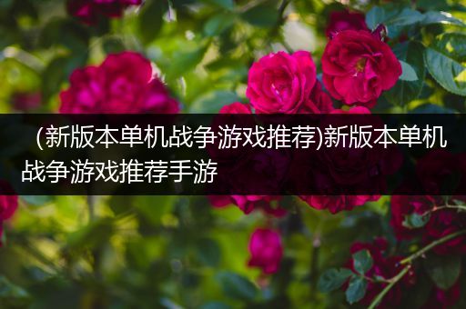 （新版本单机战争游戏推荐)新版本单机战争游戏推荐手游