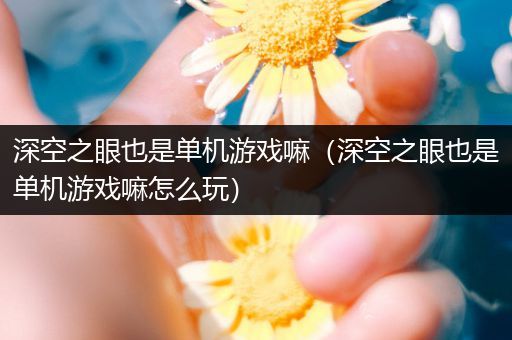 深空之眼也是单机游戏嘛（深空之眼也是单机游戏嘛怎么玩）
