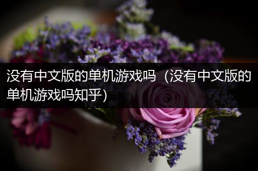 没有中文版的单机游戏吗（没有中文版的单机游戏吗知乎）