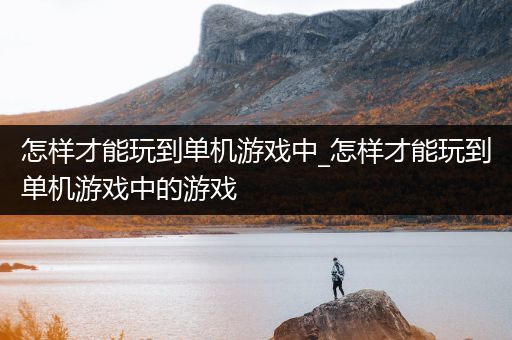怎样才能玩到单机游戏中_怎样才能玩到单机游戏中的游戏