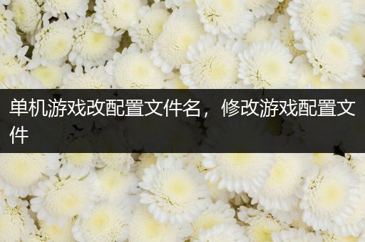 单机游戏改配置文件名，修改游戏配置文件