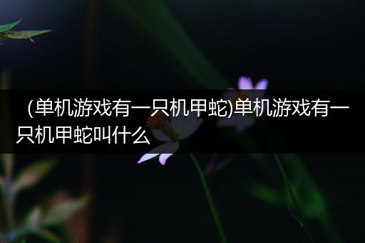 （单机游戏有一只机甲蛇)单机游戏有一只机甲蛇叫什么