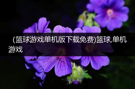（篮球游戏单机版下载免费)篮球,单机游戏