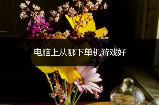 电脑上从哪下单机游戏好