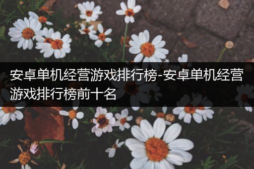 安卓单机经营游戏排行榜-安卓单机经营游戏排行榜前十名