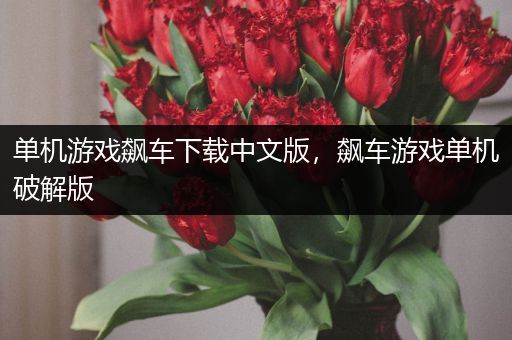 单机游戏飙车下载中文版，飙车游戏单机破解版