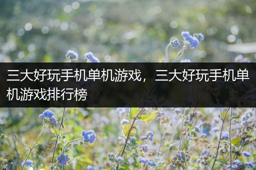 三大好玩手机单机游戏，三大好玩手机单机游戏排行榜