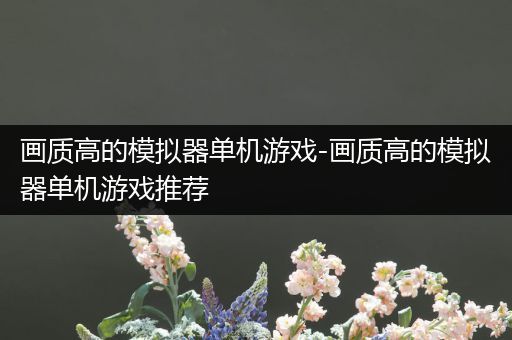 画质高的模拟器单机游戏-画质高的模拟器单机游戏推荐