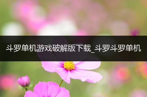 斗罗单机游戏破解版下载_斗罗斗罗单机
