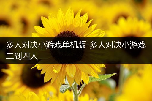 多人对决小游戏单机版-多人对决小游戏二到四人