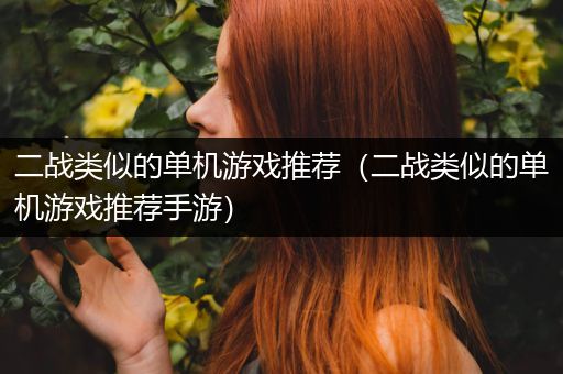 二战类似的单机游戏推荐（二战类似的单机游戏推荐手游）