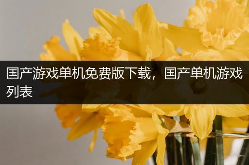 国产游戏单机免费版下载，国产单机游戏列表