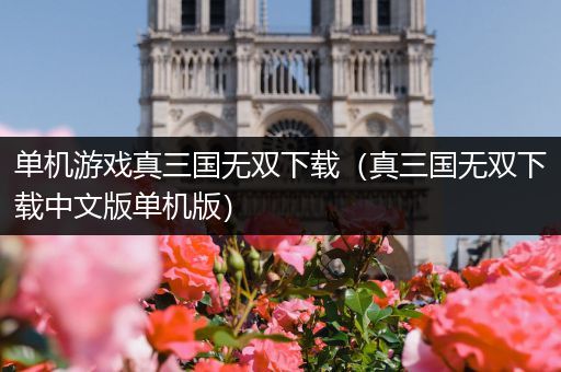 单机游戏真三国无双下载（真三国无双下载中文版单机版）