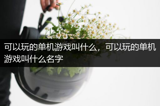 可以玩的单机游戏叫什么，可以玩的单机游戏叫什么名字