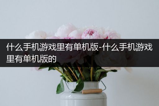 什么手机游戏里有单机版-什么手机游戏里有单机版的