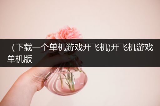 （下载一个单机游戏开飞机)开飞机游戏单机版