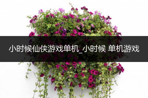 小时候仙侠游戏单机_小时候 单机游戏