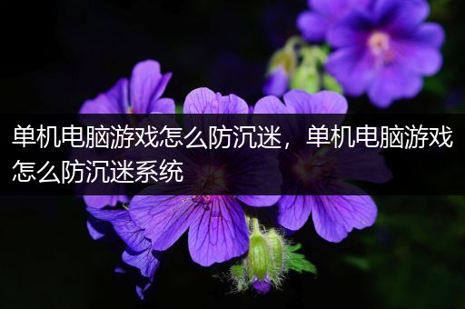 单机电脑游戏怎么防沉迷，单机电脑游戏怎么防沉迷系统