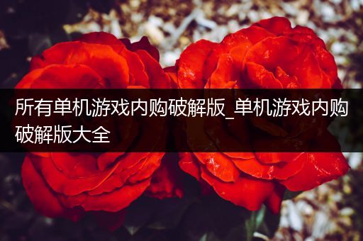 所有单机游戏内购破解版_单机游戏内购破解版大全